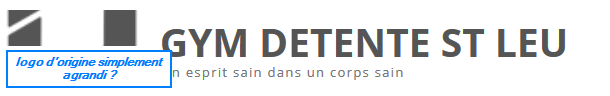 logo site.png
